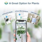 LEVOIT Smart Humidifier with Essential Oil Diffuser