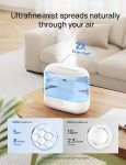 Dreo 4L Smart Cool Mist Humidifier with Diffuser