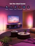 Govee RGBIC Smart Floor Lamp 2-Pack