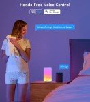 Govee Smart RGBIC Table Lamp with Alexa Integration