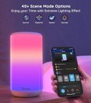 Govee Smart RGBIC Table Lamp with Alexa Integration