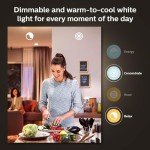 Philips Hue Smart Candle LED Bulb - White Ambiance