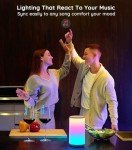 Govee Smart RGBIC Table Lamp with Alexa Integration