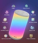 Govee Smart RGBIC Table Lamp with Alexa Integration