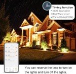 Smart Color-Changing LED Flood Lights (2 Pack)