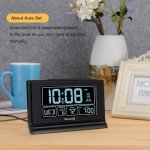 DreamSky Digital Alarm Clock with USB Port & Backup