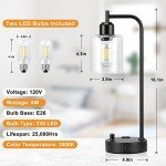 Set of 2 Dimmable Industrial Table Lamps with USB