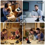 Sailstar LED Desk Lamp with Wireless Charger
