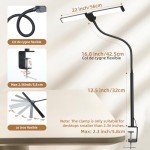 Smart LED Desk Lamp with Adjustable Clamp