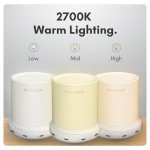 Compact Bedside Lamp with USB Ports - Dimmable