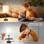 Versatile Bedside Lamp with USB Ports and 3 Colors