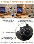 Bohon LED Desk Lamp with USB Charging & Dimming