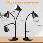 Bohon LED Desk Lamp with USB Charging & Dimming