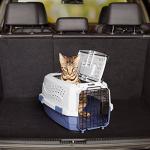 Amazon Basics Pet Travel Carrier with 2 Doors
