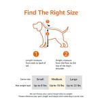 Soft-Sided Pet Travel Carrier for Dogs and Cats