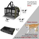 GAPZER Soft Cat Carrier for Large Cats & Dogs
