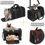 Collapsible Pet Carrier for Cats and Small Dogs