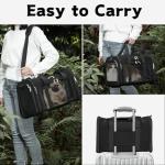 Collapsible Pet Carrier for Cats and Small Dogs