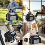 Expandable Pet Carrier on Wheels for Small Dogs, Cats