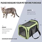 Henkelion Large Soft-Sided Pet Carrier - Green