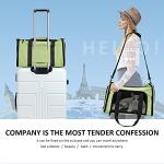 Henkelion Large Soft-Sided Pet Carrier - Green
