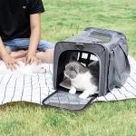 GAPZER Pet Carrier Bag for Cats and Puppies