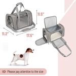 Mr. Pen Soft Dog and Cat Travel Carrier
