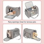 Mr. Pen Soft Dog and Cat Travel Carrier