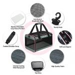 Airline Approved Soft-Sided Cat and Dog Carrier