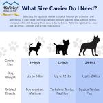 Hard-Sided Travel Carrier for Pets, 19-Inch