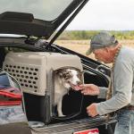 Petmate Vari Dog Kennel - Medium Airline-Friendly Carrier