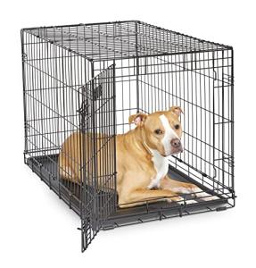 36-Inch Folding Dog Crate with Divider Panel