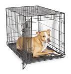 36-Inch Folding Dog Crate with Divider Panel