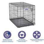 36-Inch Folding Dog Crate with Divider Panel