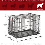 36-Inch Folding Dog Crate with Enhanced Security
