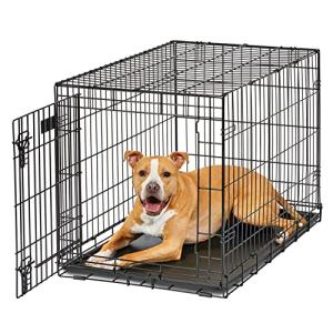 36-Inch Folding Dog Crate with Enhanced Security
