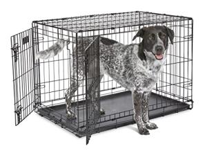 Portable 36-Inch Folding Dog Crate with Divider