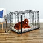 42-Inch Double Door Dog Crate with Divider Panel