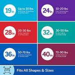 Petmate Vari Dog Kennel Portable Airline-Friendly Dog Carriers & Crates for Small Dogs, Durable Plastic, Pet Carrier For Home and Travel, XS Extra Small 19" For Dogs Up To 10 Lbs, Taupe and Black