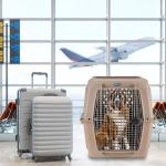 Petmate Ultra Vari Extra Large Dog Kennel