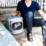 Collapsible Hard Cover Cat Carrier for Travel