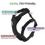 Adjustable Dog Seat Belt and Safety Vest Harness