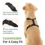 Adjustable Dog Seat Belt and Safety Vest Harness