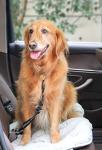 Adjustable Dog Seat Belt with Reflective Buffer
