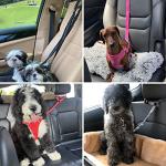 Adjustable Dog Cat Seatbelt Safety Strap Set