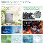 Natural Shoe Odor Eliminators, 6 Pack Charcoal Bags