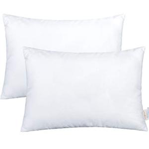 Travel-Friendly Down Alternative Pillows - 2 Pack