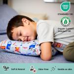 ZPECC Organic Cotton Toddler Travel Pillows 2 Pack