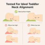 Kids Travel Pillow - Organic Cotton, Soft & Breathable