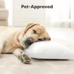 Kids Travel Pillow - Organic Cotton, Soft & Breathable